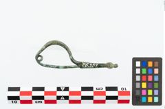 Foto von Bronzebogenfibel (NHMW-PRAE-026351)